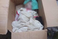 Bayi Dibuang didalam kardus