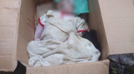 Bayi Dibuang didalam kardus