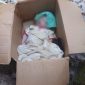 Bayi Dibuang didalam kardus