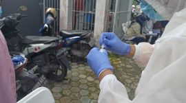 COVID19 Pandemic virus corona