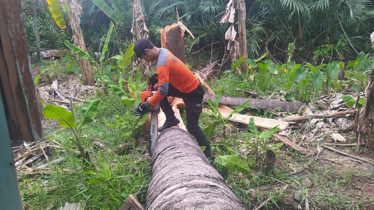 Rumah terbelah dua akibat ditimpa batang pohon rumbia