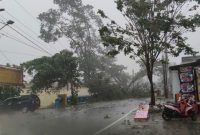 Pohon Tumbang Di Kota Banjarmasin Akibat Hujan disertai Angin kencang