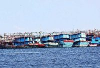 SP/Ruht Semiono
Nelayan Terdampak Covid-19 - Sejunlah kapal nelayan sandar di kawasan pelabuhan Muara Baru, Jakarta, Selasa (19/5/2020). Pandemi Covid-19 berimbas pada sektor usaha kelautan dan perikanan yang sulit untuk menjual hasil tangkapan dan budidaya.
