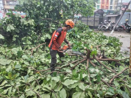AMBRUK Ditimpa Pohon, Ruang Tunggu Puskesmas Teluk Dalam (2)