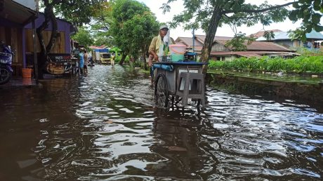 TIDAK SEMUA Titik Banjir Rob Bisa Tertangani Diakui Ibnu Sina (2)