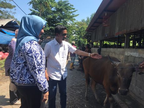 DISEMPROT Desinfektan Hewan Kurban Guna Cegah Sebaran PMK di RPH-2