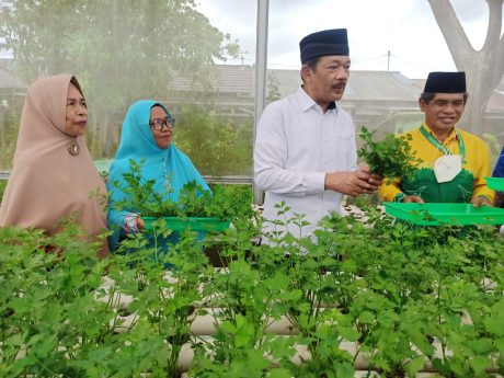 KEBUN SEHAT Sungai Jingah Diapresiasi Ketua BAZNAS RI (2)
