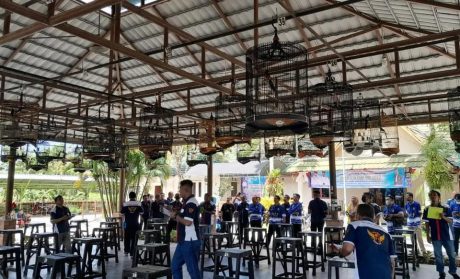 LOMBA Kicau Burung Kembali Digelar di Banjarmasin (2)