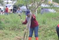 Pemeliharaan, penyulaman dan pruning tanaman yang dilakukan oleh staf Dishut Kalsel, UPTD BPTH dan anggota Polhut, Kamis (16/2/2023). Foto Ist