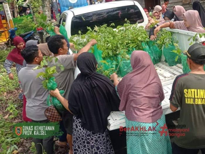 KPH Balangan mendukung gerakan Revolusi Hijau dengan membagikan bibit gratis. Foto ist