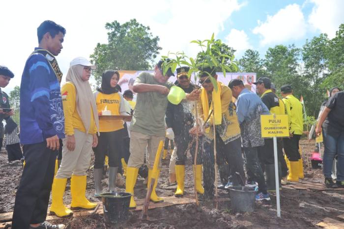 Gerakan revolusi hijau memberikan bukti nyata dalam perbaikan lingkungan. Foto Ist