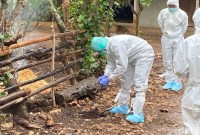 Petugas saat mengambil sampel tanah buntut kasus antraks di Pedukuhan Jati, Kalurahan Candirejo, Kapanewon Semanu, Kabupaten Gunungkidul, Rabu (5/7/2023). (Foto: Detik)