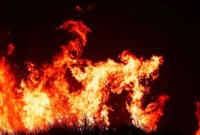 Ilustrasi kebakaran hutan dan lahan (karhutla) di Kabupaten Tapin, Kalimantan Selatan, Minggu (20/8/2023). (ANTARA/Muhammad Fauzi Fadilah