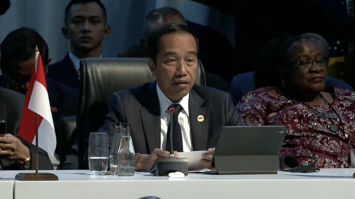 Presiden Joko Widodo (dalam forum Friends of BRICS Leaders Dialogue yang menjadi rangkaian KTT BRICS di Afrika Selatan, Kamis (24/8/2023). (Capture youtube SABC News)