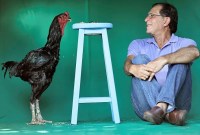 Ahli Agronomi Rubens Braz berpose dengan ayam jantan Urubu India Raksasa bernama Galalau di Avicultura Gigante, yang membiakkan ayam jantan raksasa untuk produksi daging skala kecil dan keperluan hias, di Formosa, Negara Bagian Goias, Brasil, Jumat (1/9/2023). (REUTERS/Ueslei Marcelino)