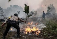 Ilustrasi. Seorang polisi berusaha memadamkan api yang menyala di suatu lahan di Palangkaraya, 14/9/2019. BNPB mencatat ada 499 kejadian kebakaran hutan dan lahan (karhutla) sepanjang Januari sampai Agustus 2023. (BBC Indonesia)
