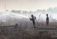 Petugas dari satgas gabungan pemadam kebakaran hutan dan lahan (karhutla) berusaha memadamkan kebakaran lahan di Jalan Tjilik Riwut Km 9, Palangka Raya, Kalimantan Tengah, Kamis (31/8/2023). (ANTARA FOTO)
