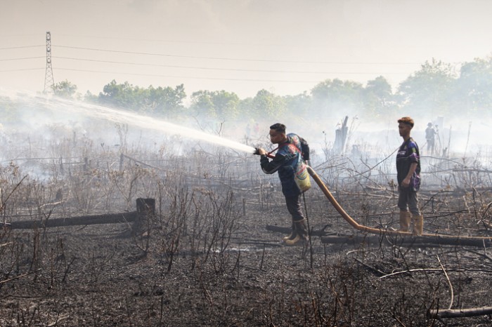 Petugas dari satgas gabungan pemadam kebakaran hutan dan lahan (karhutla) berusaha memadamkan kebakaran lahan di Jalan Tjilik Riwut Km 9, Palangka Raya, Kalimantan Tengah, Kamis (31/8/2023). (ANTARA FOTO)