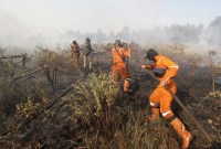 Sejumlah Petugas melakukan pemadaman api di lahan kering. (Foto: Istimewa)