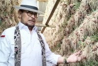 Menteri Pertanian (Mentan) RI Syahrul Yasin Limpo dikabarkan telah menjadi tersangka dalam kasus dugaan korupsi yang terjadi di Kementerian Pertanian.(Antara Foto)