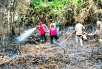 Petugas Gabungan Pemkab Penajam Paser Utara (PPU) sedang memadamkan kebakaran hutan dan lahan (karhutla) di Desa Giri Purwa, Kecamatan Penajam, Sabtu (5/8/2023). (Antara/HO- Pusdalops BPBD Kabupaten PPU).