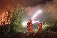 BNPB menyatakan titik panas penyebab karhutla di Kalteng jadi 30.792 titik dan Kalbar jadi 5.834 titik. (ANTARA FOTO)