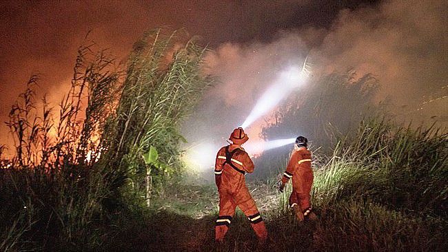 BNPB menyatakan titik panas penyebab karhutla di Kalteng jadi 30.792 titik dan Kalbar jadi 5.834 titik. (ANTARA FOTO)