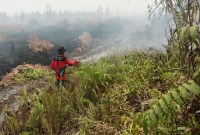 Pembasahan lahan gambut oleh MPA di Kabupaten Pulang Pisau, Kalimantan Tengah memanfaatkan keberadaan sumur bor. (ANTARA)