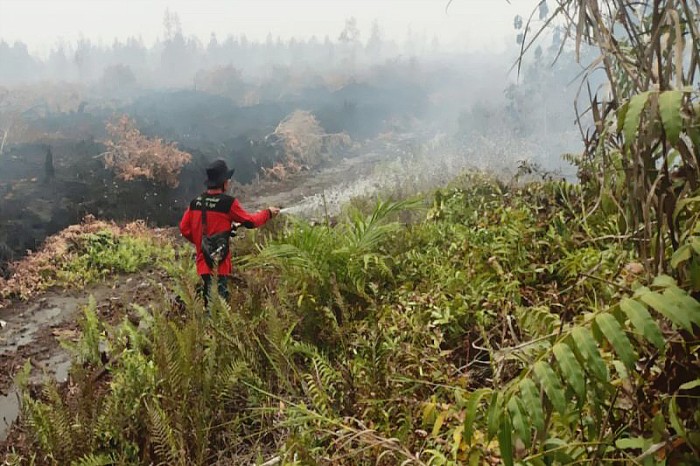 Pembasahan lahan gambut oleh MPA di Kabupaten Pulang Pisau, Kalimantan Tengah memanfaatkan keberadaan sumur bor. (ANTARA)
