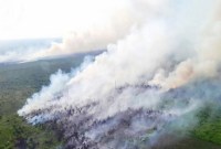 
Dua lokasi kebakaran lahan di Kecamatan Baamang terpantau dari udara saat tim BNPB melakukan pemadaman dengan pengeboman air, Rabu (16/8/2023) lalu. (ANTARA/HO-BPBD Kotim)

