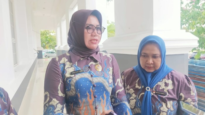 Ketua KPU Kalsel, Andi Tenri Sompa,