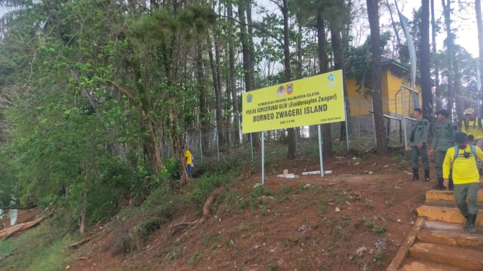Pulau rusa menjadi konservasi ulin ditandai dengan penanaman ratusan bibit ulin, Selasa (28/11/2023).. (SuarIndonesia/Humas)