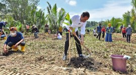 Presiden Jokowi menghadiri gerakan tanam pohon bersama di Hutan Kota JIEP, Pulo Gadung, Jakarta Timur, Rabu (29/11/2023). (ANTARA Foto/Agus Suparto)