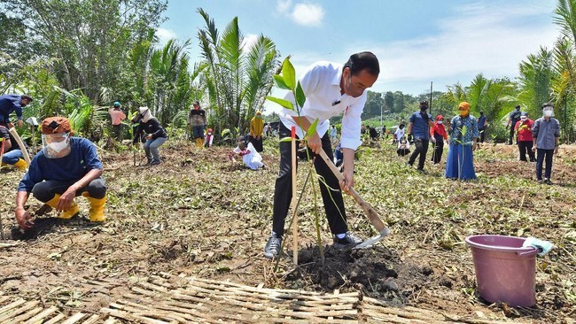 Presiden Jokowi menghadiri gerakan tanam pohon bersama di Hutan Kota JIEP, Pulo Gadung, Jakarta Timur, Rabu (29/11/2023). (ANTARA Foto/Agus Suparto)