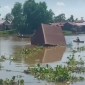 Terbawa arus sungai  sebuah tumah bebahan kayu, milik Dayat dan kejadian menarik perhatian warga di Jalan Jalan Sungai Gardu, RT 02 Kelurahan Sungai Lulut, Kecamatan Banjarmasin Timur, Minggu (3/12/2-23).. (SuarIndonesia/YI)