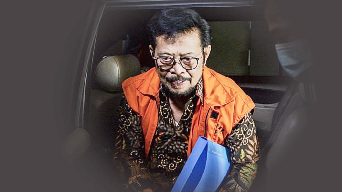 
Syahrul Yasin Limpo. (detikCom/Rifkianto N)