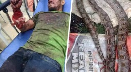 Aleria teringat bagaimana dia menggigit ular itu kembali saat panik ketika ular itu menyerang pada hari Rabu. Ular itu kemudian dimasak dan dimakan oleh penduduk setempat dalam video tersebut, kata Aleria kepada media lokal. [@ViralPress]