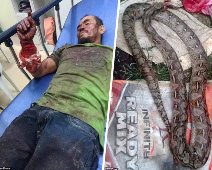 Aleria teringat bagaimana dia menggigit ular itu kembali saat panik ketika ular itu menyerang pada hari Rabu. Ular itu kemudian dimasak dan dimakan oleh penduduk setempat dalam video tersebut, kata Aleria kepada media lokal. [@ViralPress]