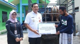 Wali Kota Banjarbaru, HM Aditya Mufti Arifin, saat menyerahkan bantuan kepada Perwakilan Dapur Umum Pendidikan Bersatu, Habib Abdullah, yang didampingi oleh Kepala Bank Kalsel Cabang Banjarbaru, Khairunnisa. (Foto - Humasbankkalsel)