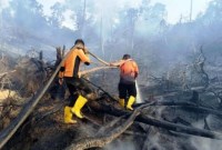 Petugas sedang memadamkan karhutla di Kabupaten Penajam Paser Utara (PPU), Kaltim. [ANTARA/HO Pusdalops Kabupaten PPU]