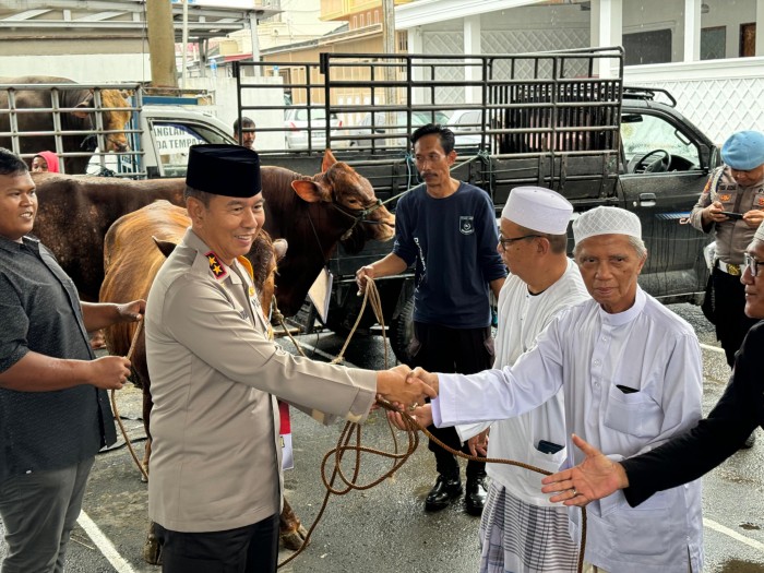 Kapolda Kalsel Irjen Pol  Winarto , Kamis (11/1/2024) menyerahkan bantuan sapi untuk Haul Guru Sekumpul ke-19 Tahun 2024. (SuarIndonesia/Ist)