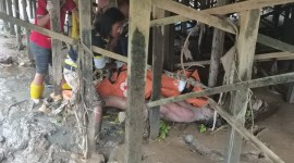 buruh serabutan bernana Anton (35), ditemukan tewas mengapung di Sungai Martapura, dan jasadnya terbawa arus masuk di bawah kolong rumah warga  tepatnya di Jalan Antasan Bondan Teluk Medung RT 17 Banjarmasin Selatan, Selasa (16/1/2024) sore. (SuarIndonesia/DO)