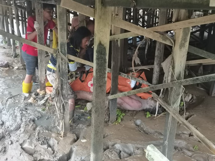 buruh serabutan bernana Anton (35), ditemukan tewas mengapung di Sungai Martapura, dan jasadnya terbawa arus masuk di bawah kolong rumah warga  tepatnya di Jalan Antasan Bondan Teluk Medung RT 17 Banjarmasin Selatan, Selasa (16/1/2024) sore. (SuarIndonesia/DO)