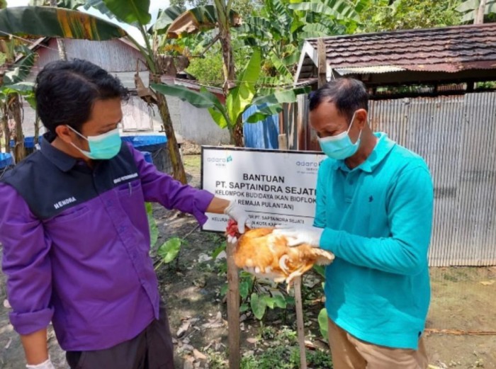Antispasi penyebaran flu burung, sebagian hewan unggas diambil sampel oleh Dinas Perkenunan dan Peternakan (Disbunnak) Kalsel. (SuarIndonesia/Ist)