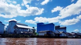 BPBD Pulang Pisau ingatkan masyarakat untuk antisipasi banjir dengan tingginya curah hujan di atas normal selama bulan Januari ini. [ANTARA/Adi Waskito]