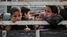 Anak-anak duduk di belakang truk saat warga Palestina berangkat dari bagian utara Gaza untuk meninggalkan Jalur Gaza bagian tengah dan selatan pada 10 November 2023. [ANTARA/Anadolu]