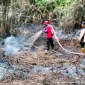 Arsip foto - Petugas sedang memadamkan Karhutla di Penajam, Kabupaten Penajam Paser Utara (PPU), Kaltim. [ANTARA/HO-Pusdalops Kabupaten PPU]