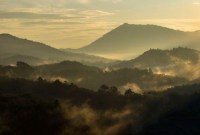 Pemandangan Gunung Halau Halau di Pegunungan Meratus, Kecamatan Batang Alai Timur, Kabupaten Hulu Sungai Tengah, Kalimantan Selatan, beberapa waktu lalu. BMKG melaporkan aktivitas patahan Pegunungan Meratus mengakibatkan terjadi enam  kali gempa tektonik dengan kekuatan magnitudo yang berbeda di Kalimantan Selatan. [ANTARA/Bayu Pratama S]
