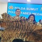 Polisi menangkap dua pria yang hendak menjual kulit harimau Sumatera seharga Rp 15 juta di Deli Serdang. [Foto: detikSumut/Goklas W]