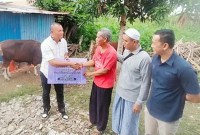 Kasubdit Sosbud Dit Intelkam Polda Kalsel, Kompol Zaenuri SH MM, meyerhkan bantuan seekor sapi dari kapolda, Selasa (5/3/2024). (SuarIndonesia/Ist)